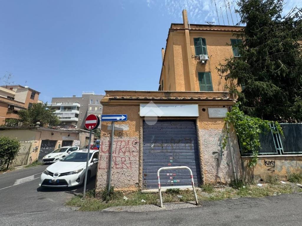 immagine annuncio 2 di 13