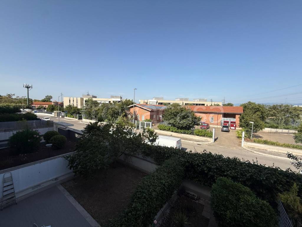 immagine annuncio 6 di 14