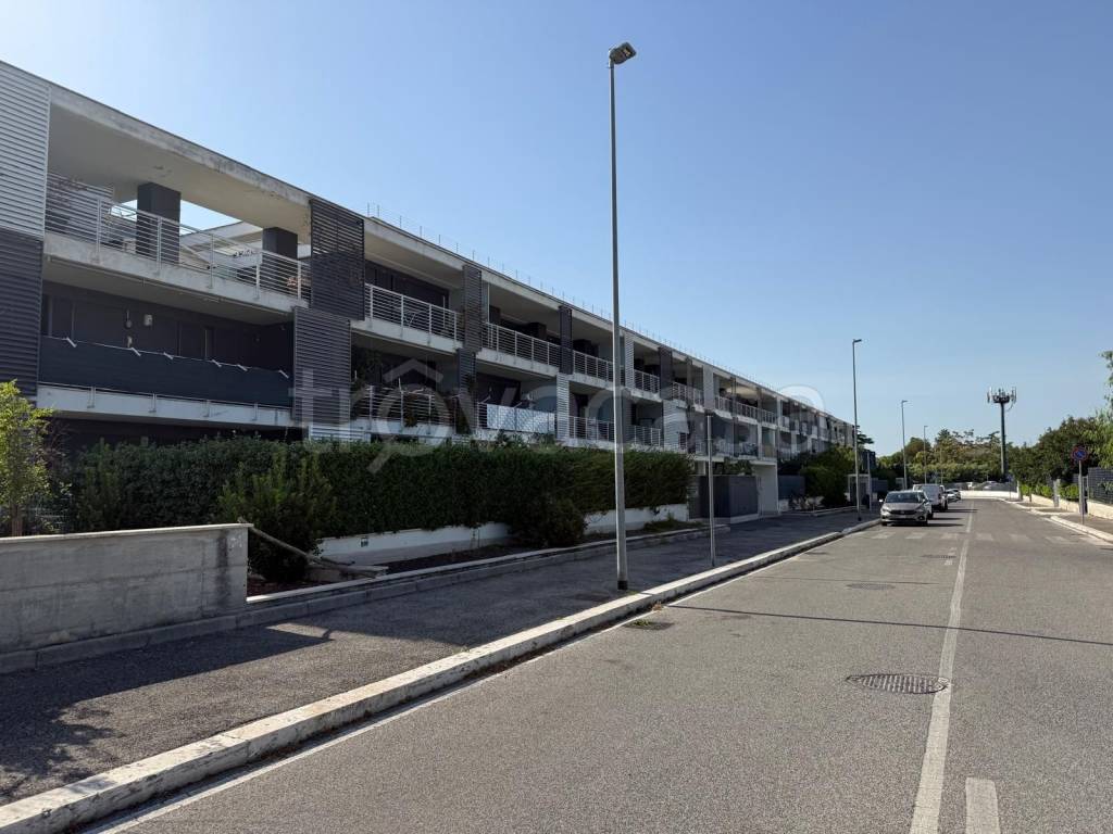 immagine annuncio 13 di 14