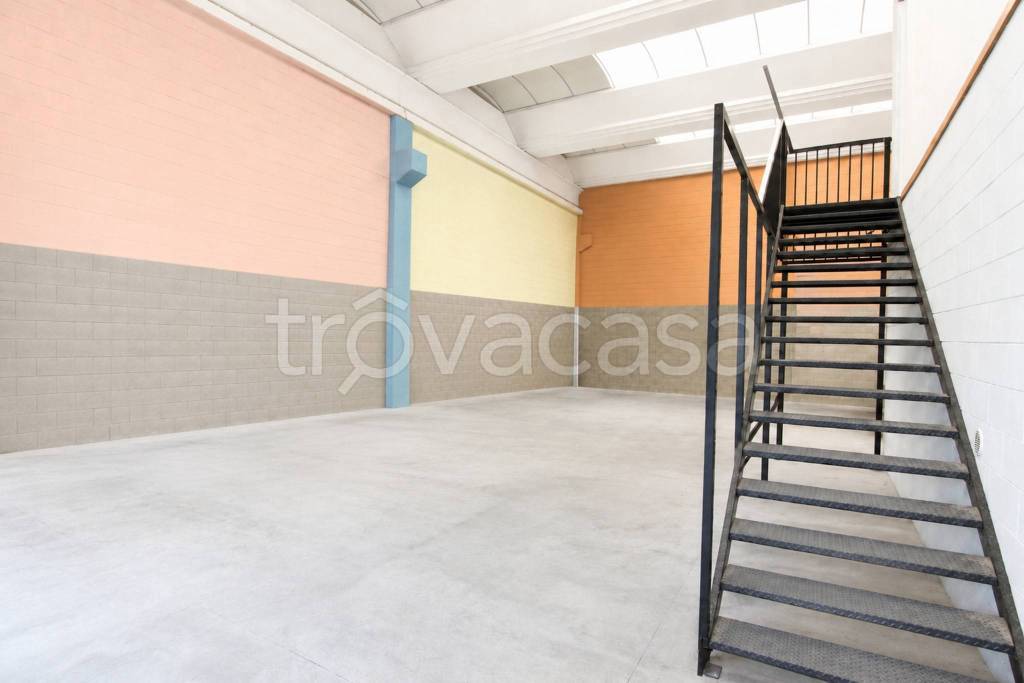 immagine annuncio 3 di 13