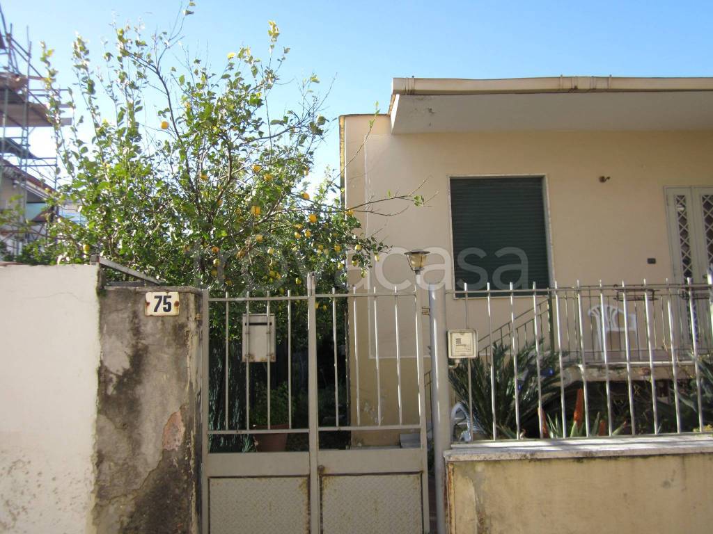 immagine annuncio 8 di 13