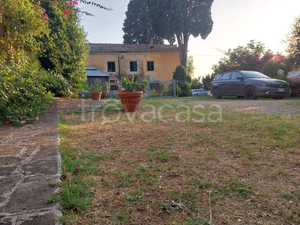 immagine annuncio 11 di 14