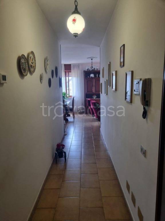 immagine annuncio 7 di 8