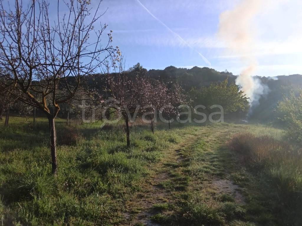 immagine annuncio 3 di 8