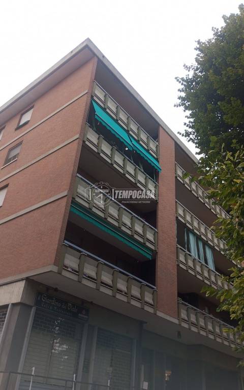 immagine annuncio 2 di 6