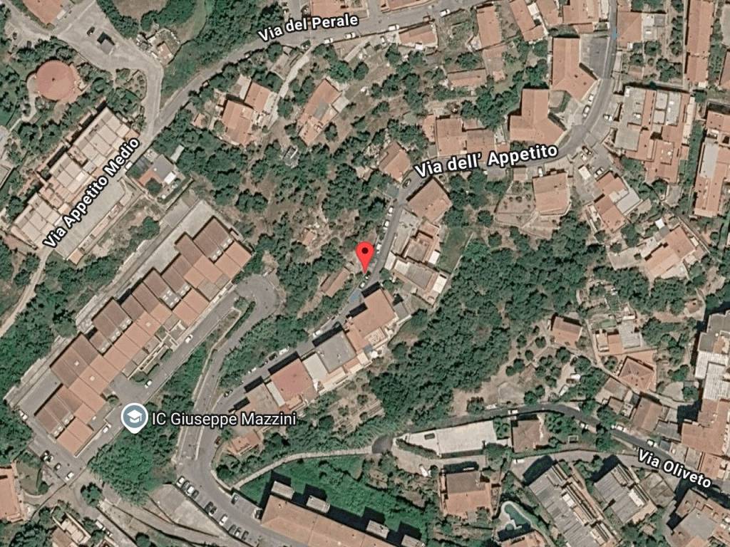 immagine annuncio 1 di 14