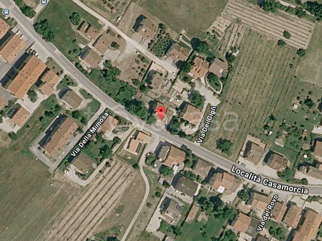 immagine annuncio 1 di 14