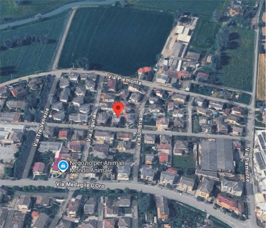 immagine annuncio 11 di 14