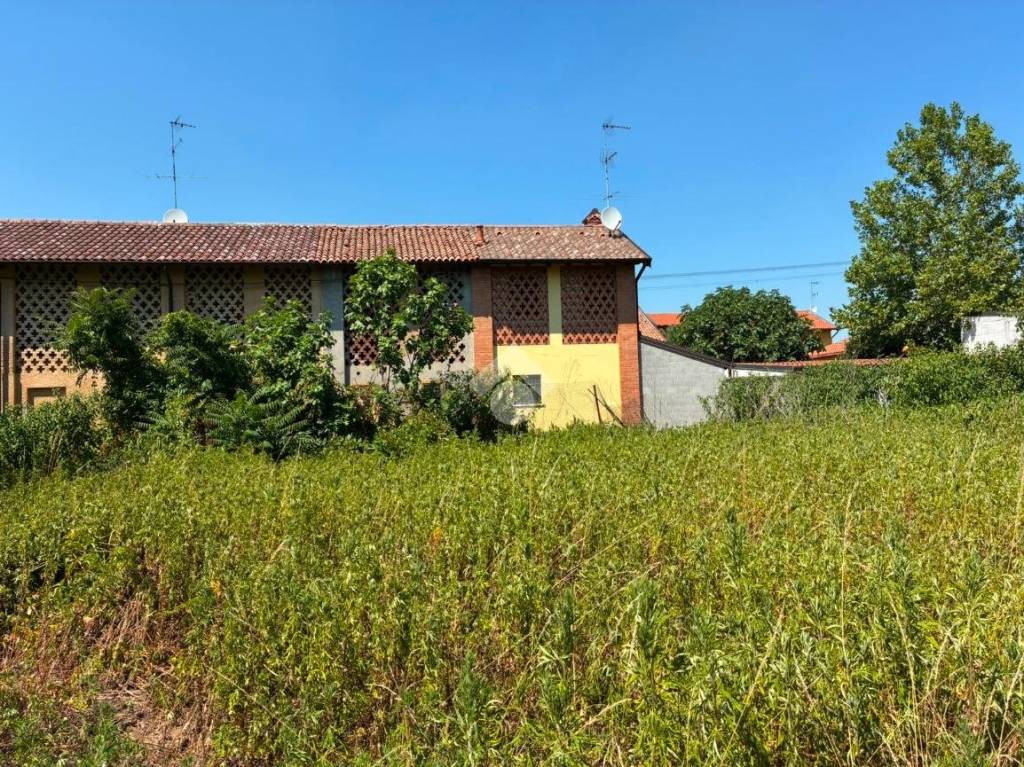 immagine annuncio 12 di 15