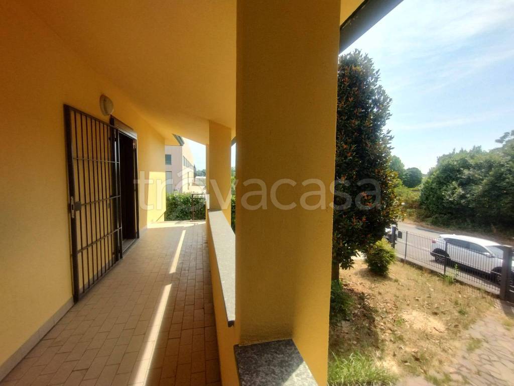 immagine annuncio 8 di 15