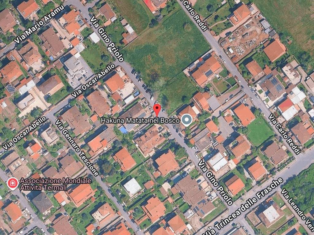 immagine annuncio 1 di 10