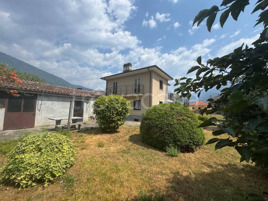 immagine annuncio 3 di 15