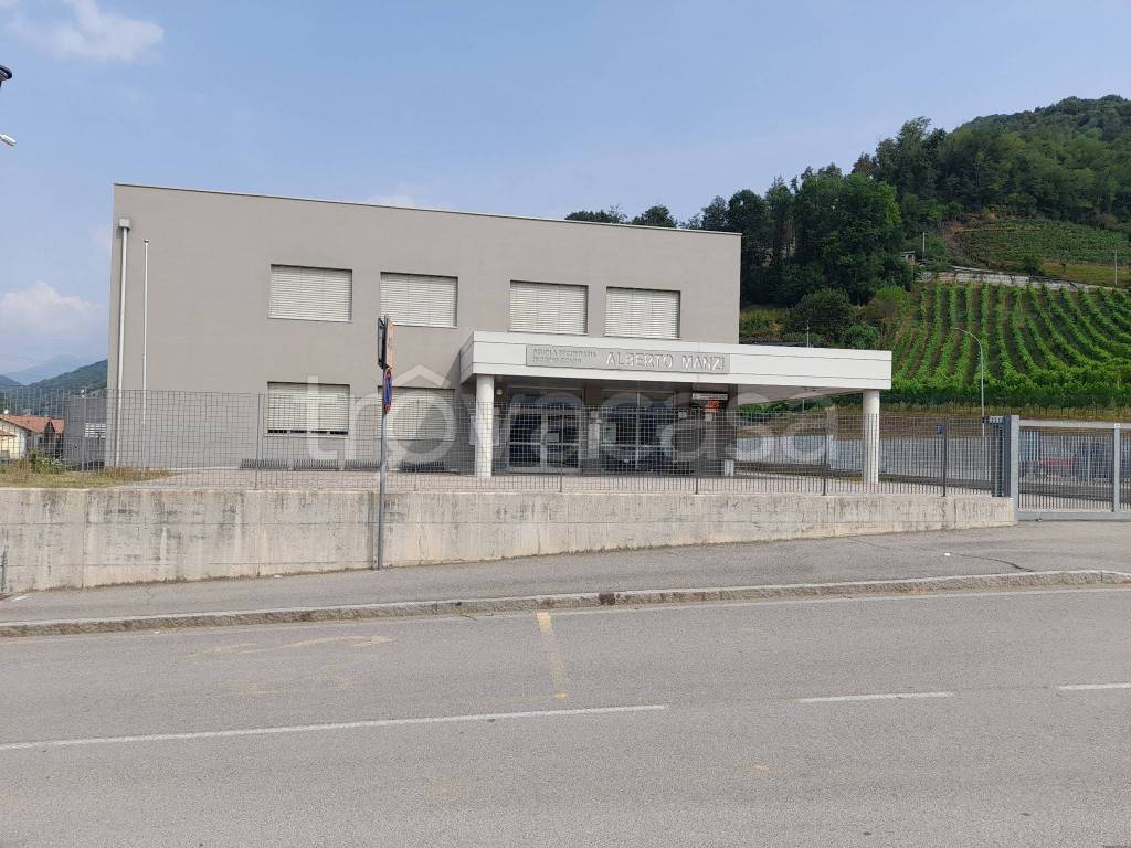immagine annuncio 5 di 6