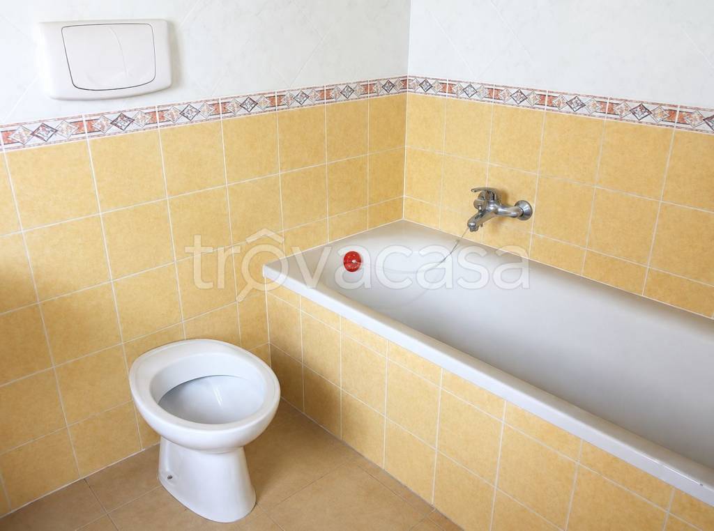 immagine annuncio 10 di 14