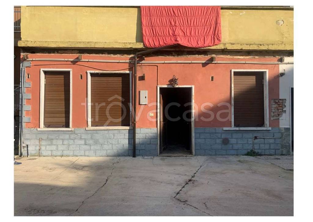 immagine annuncio 4 di 14