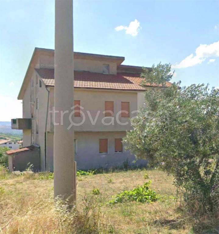immagine annuncio 11 di 14