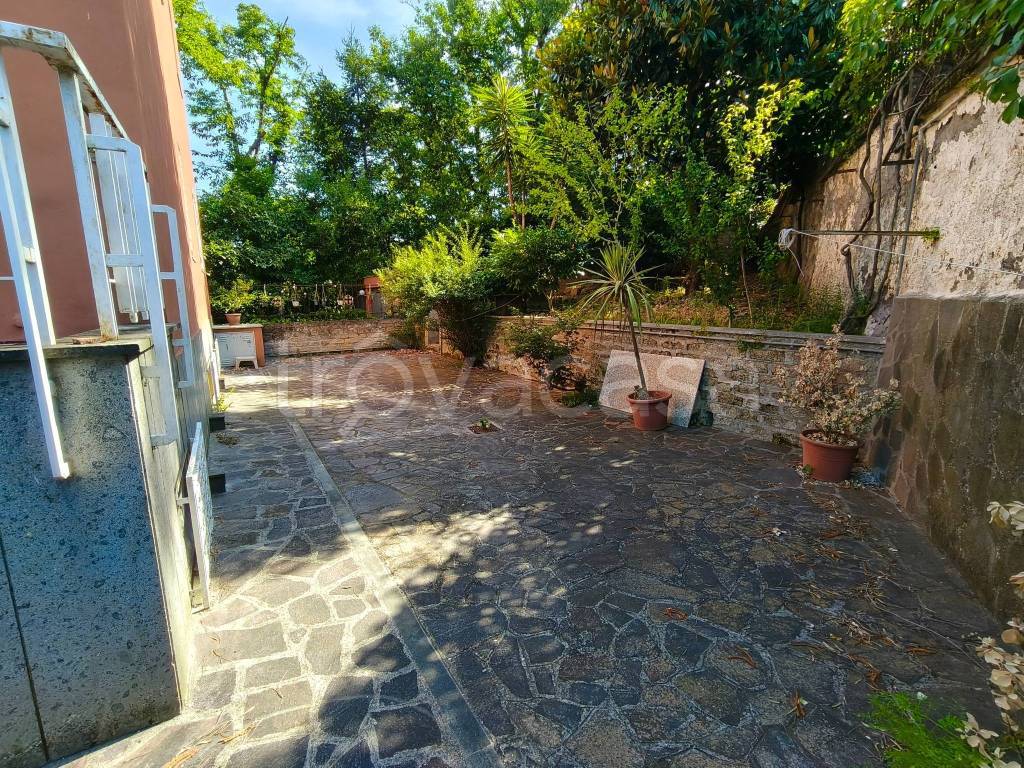 immagine annuncio 11 di 14