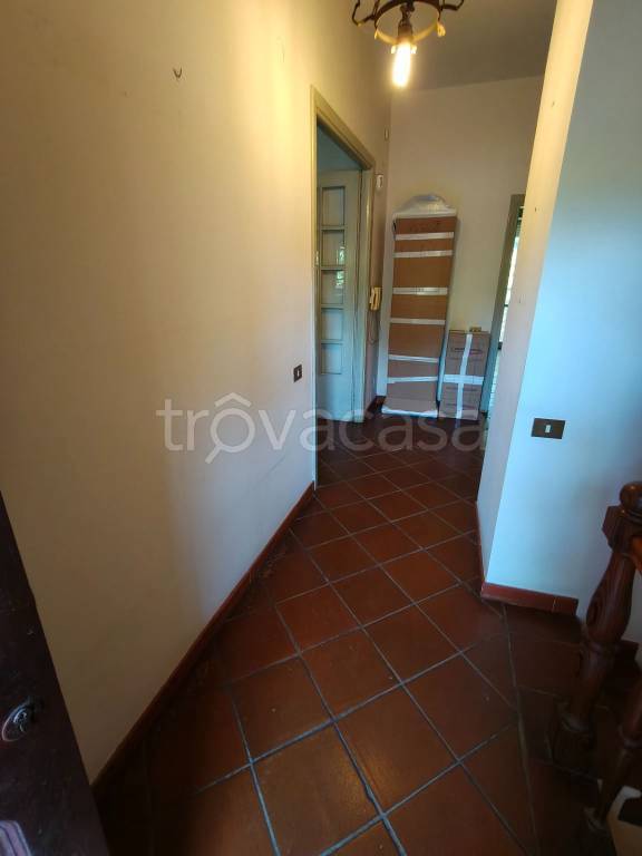 immagine annuncio 3 di 14