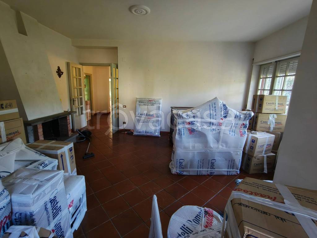 immagine annuncio 4 di 14