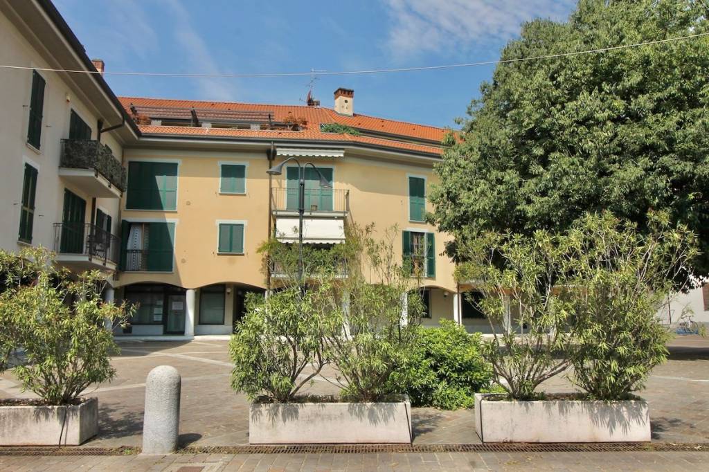 immagine annuncio 1 di 4