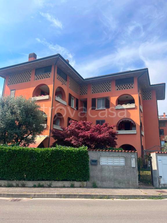immagine annuncio 1 di 12