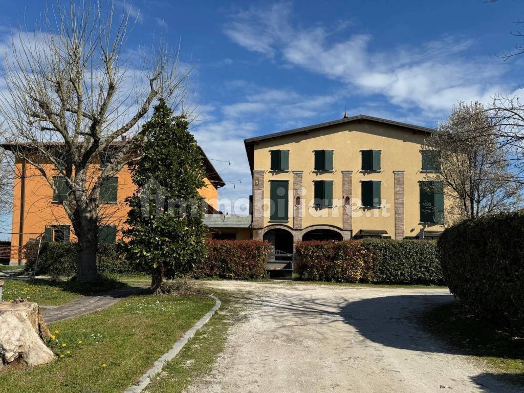 immagine annuncio 5 di 14
