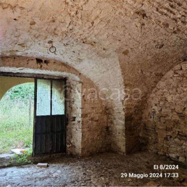 immagine annuncio 10 di 12