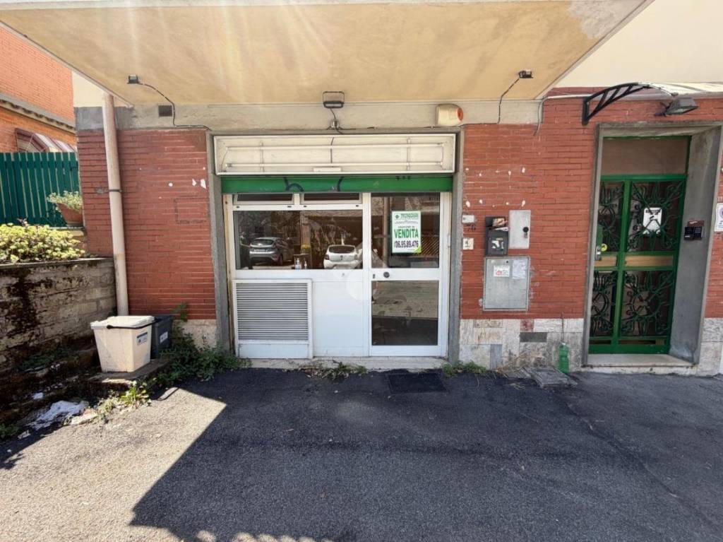 immagine annuncio 5 di 15