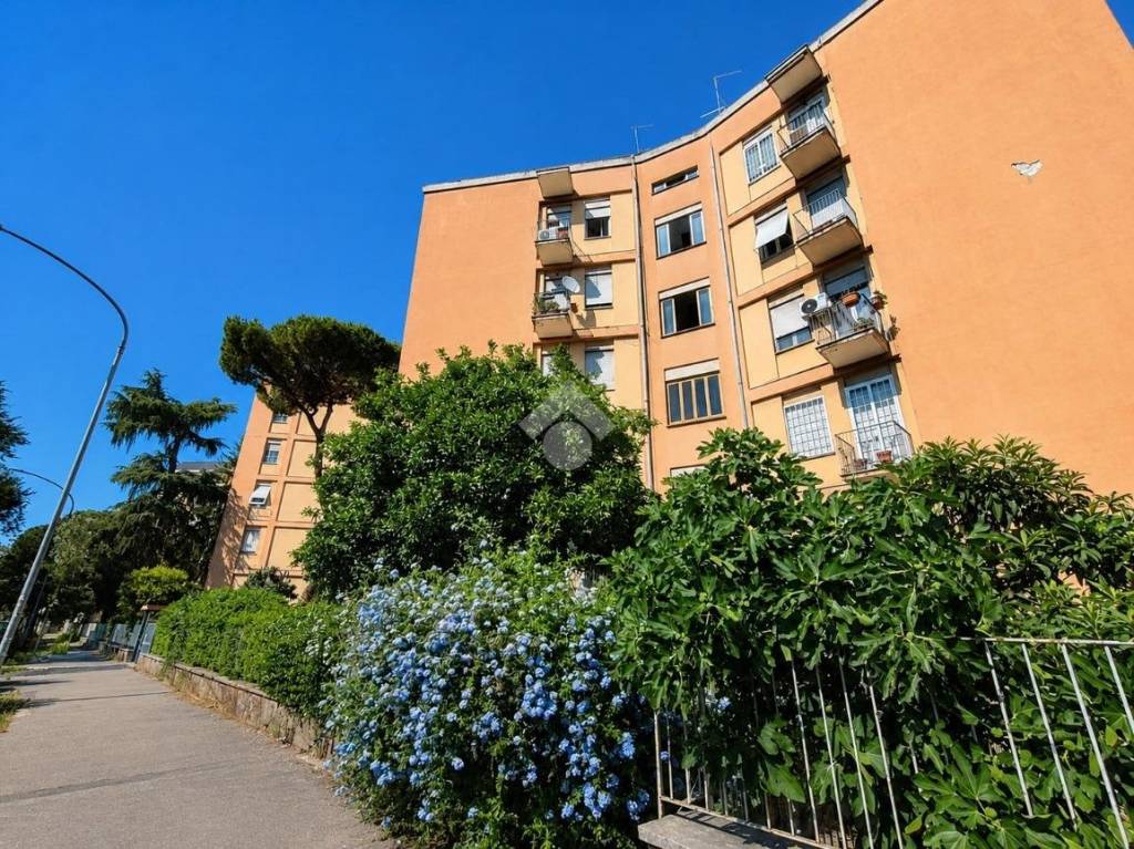immagine annuncio 2 di 4
