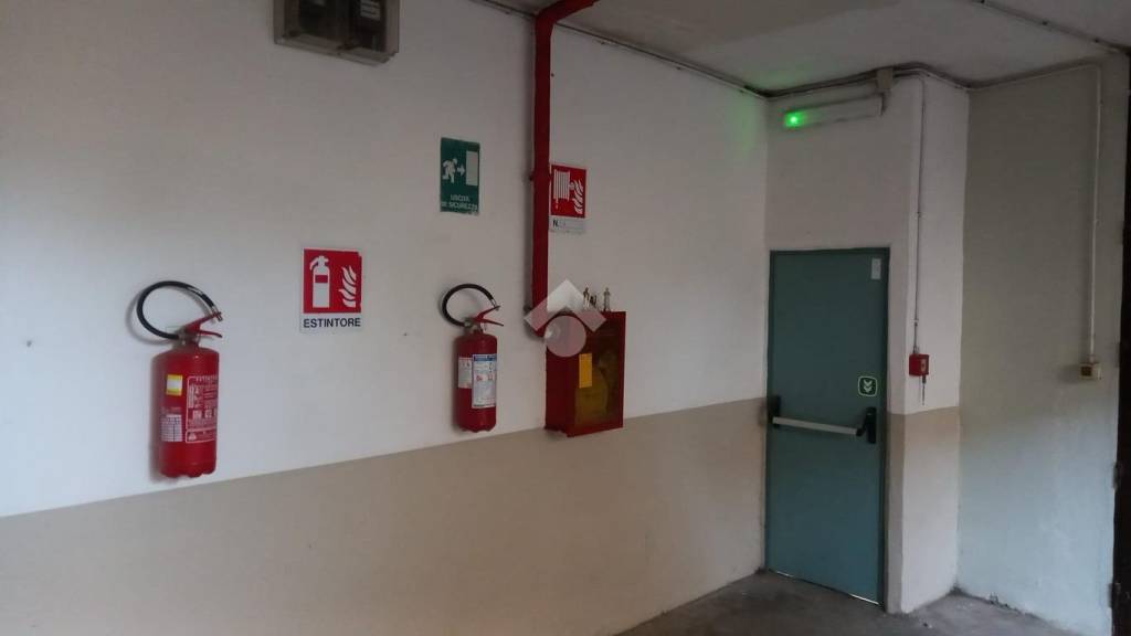 immagine annuncio 9 di 13