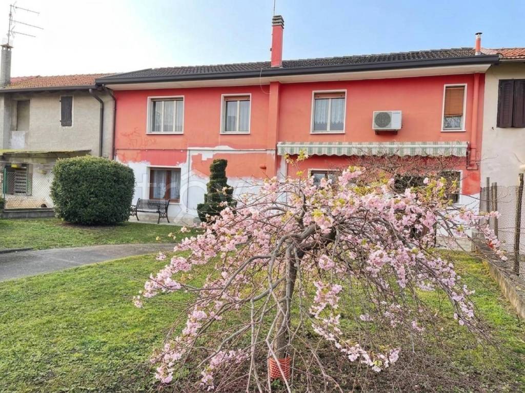 immagine annuncio 1 di 14