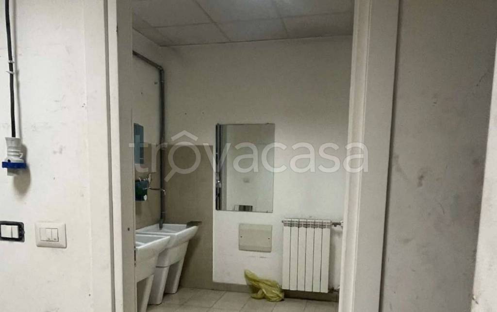 immagine annuncio 5 di 14