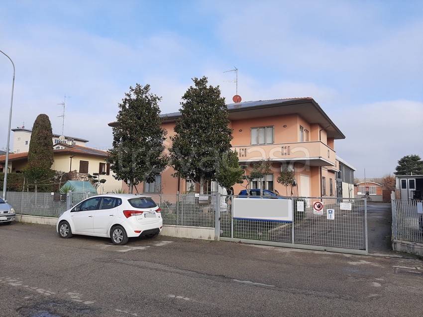 immagine annuncio 5 di 15