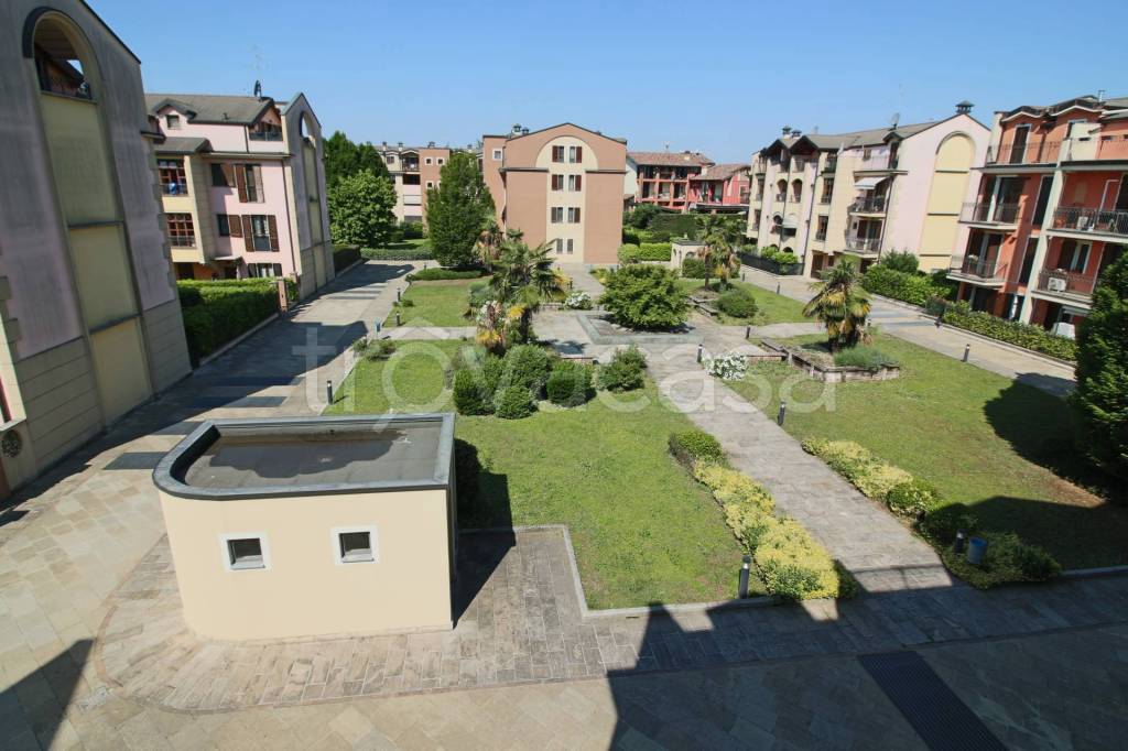 immagine annuncio 9 di 15