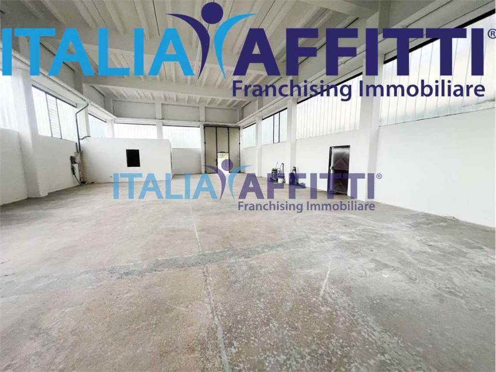 immagine annuncio 2 di 11