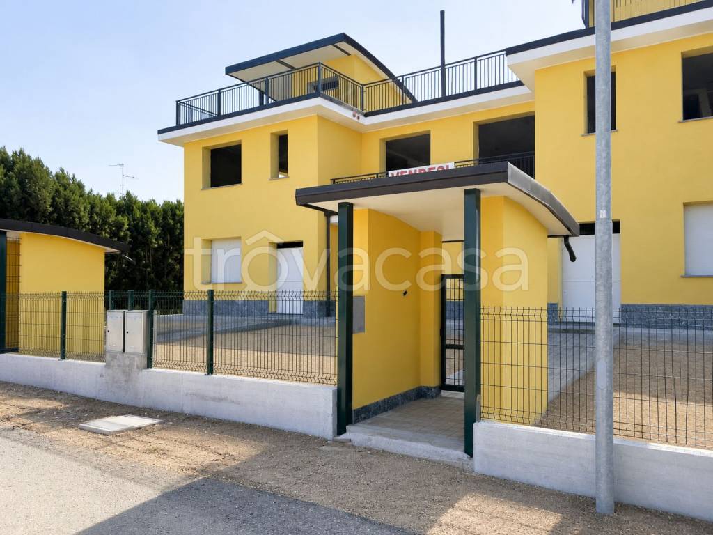 immagine annuncio 1 di 15