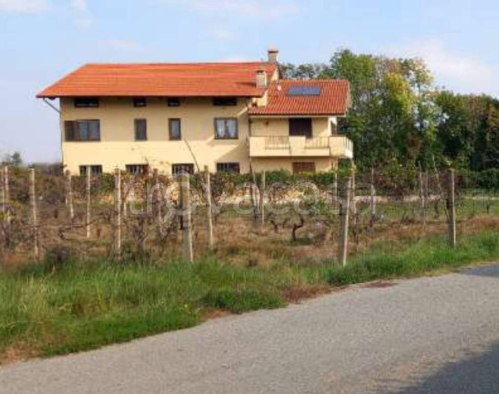 immagine annuncio 7 di 13