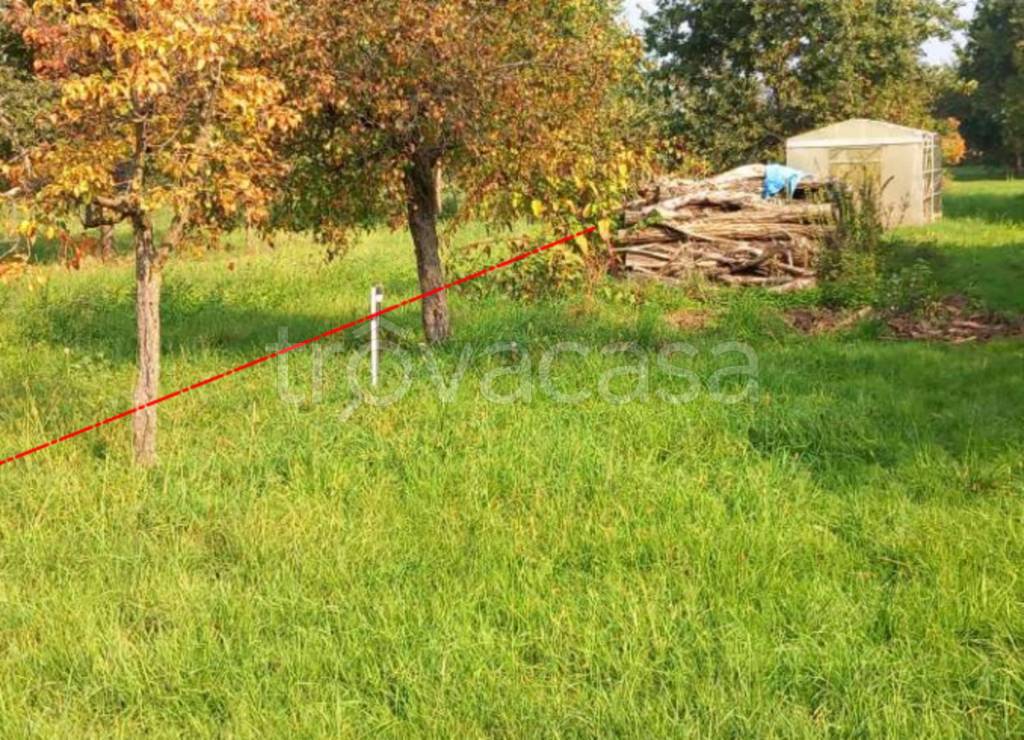 immagine annuncio 12 di 13