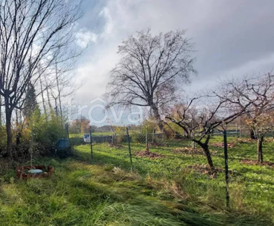 immagine annuncio 4 di 12