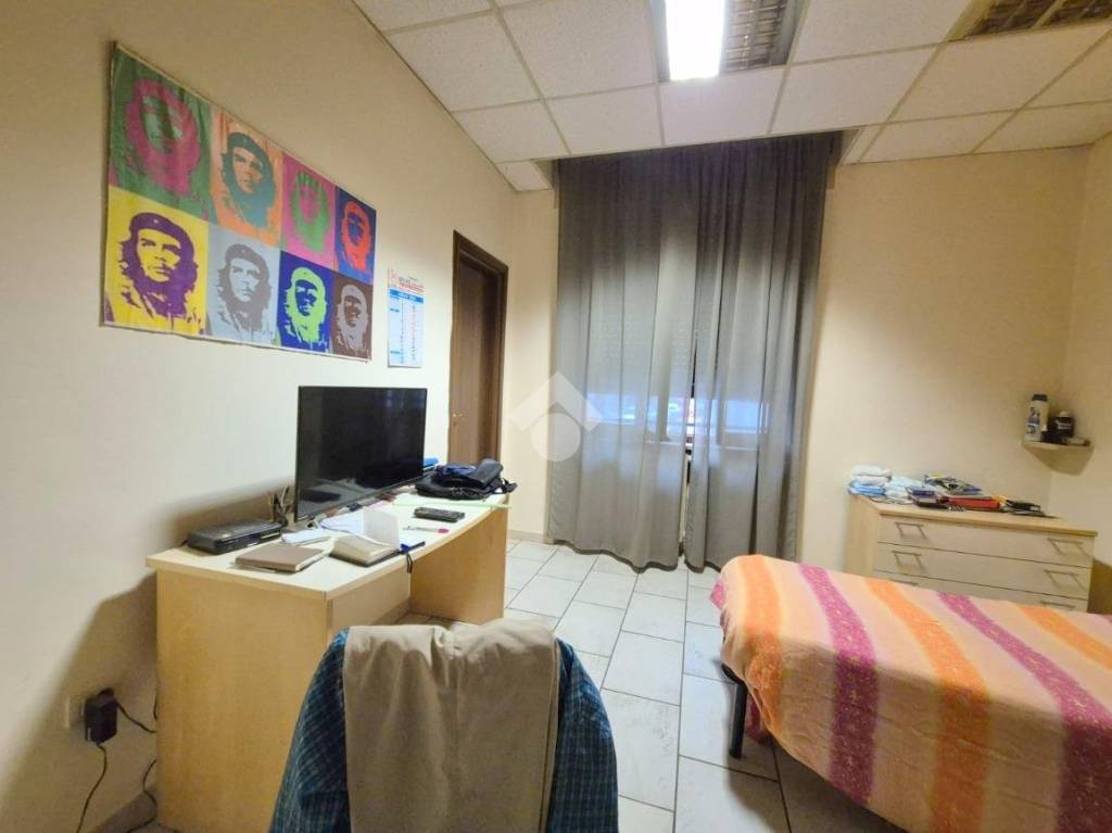 immagine annuncio 7 di 14