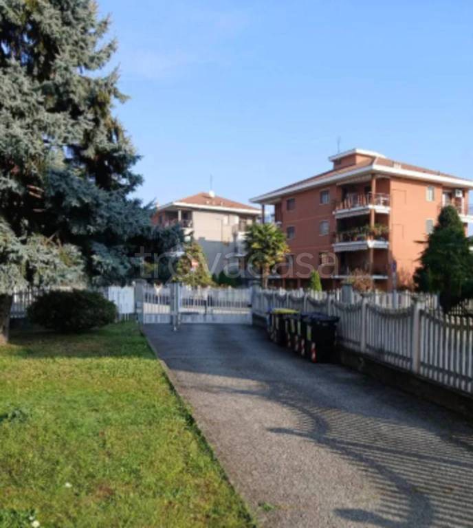 immagine annuncio 3 di 12