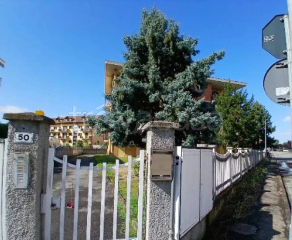 immagine annuncio 9 di 12