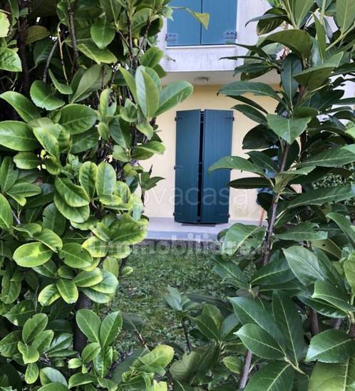 immagine annuncio 3 di 8