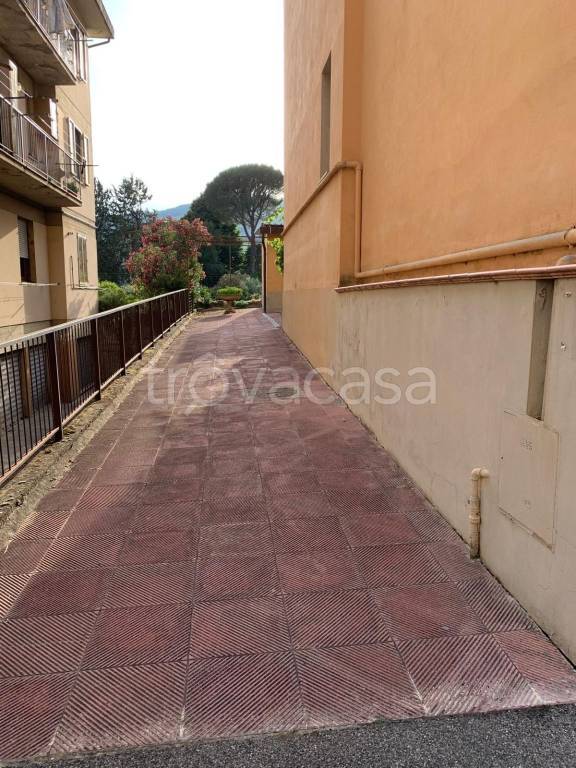 immagine annuncio 9 di 14