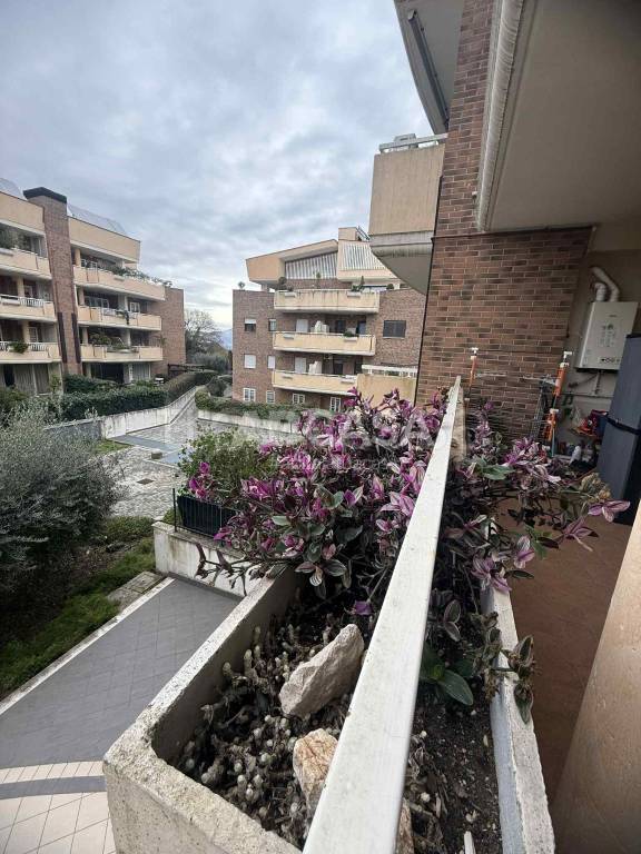 immagine annuncio 2 di 13