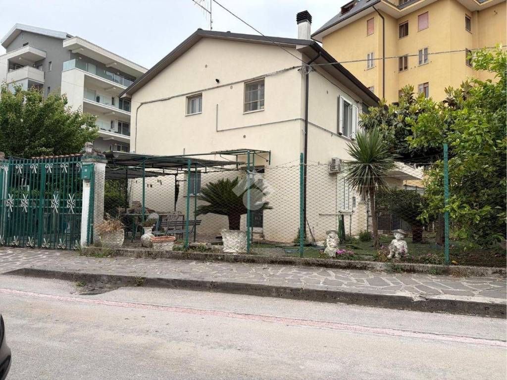 immagine annuncio 2 di 13