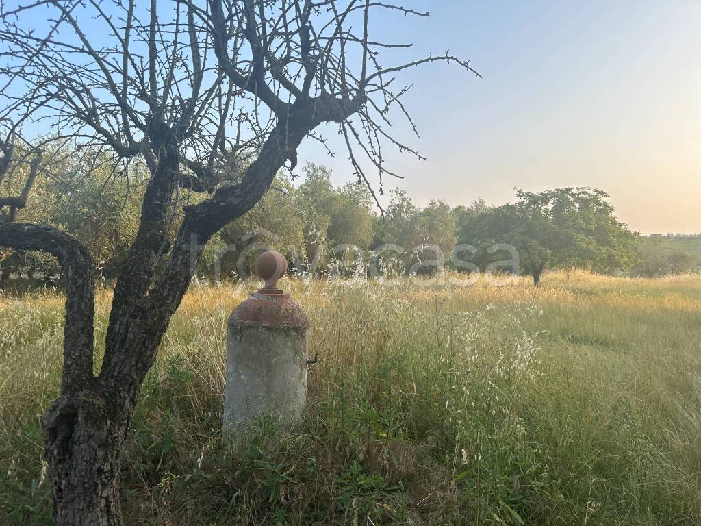 immagine annuncio 9 di 13