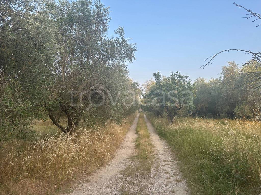 immagine annuncio 10 di 13
