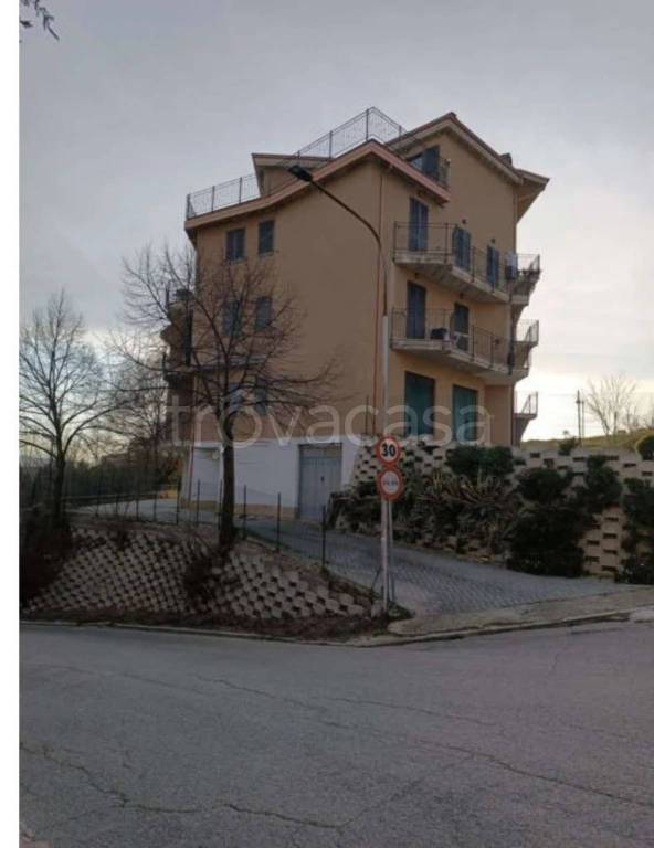 immagine annuncio 3 di 10