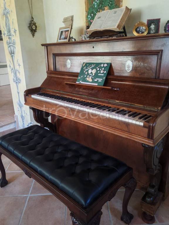 immagine annuncio 9 di 15